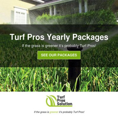 Turf Pros Yearly Packages