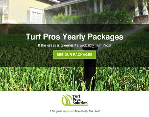 Turf Pros Yearly Packages