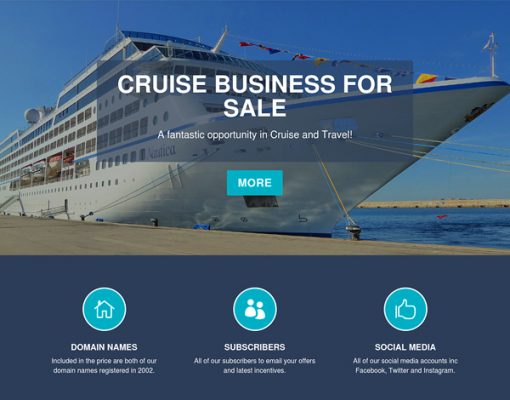 Cruise Business for sale landing page